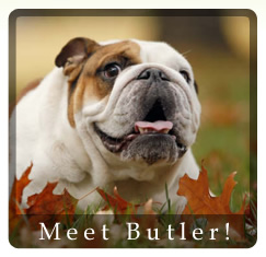 Meet Butler